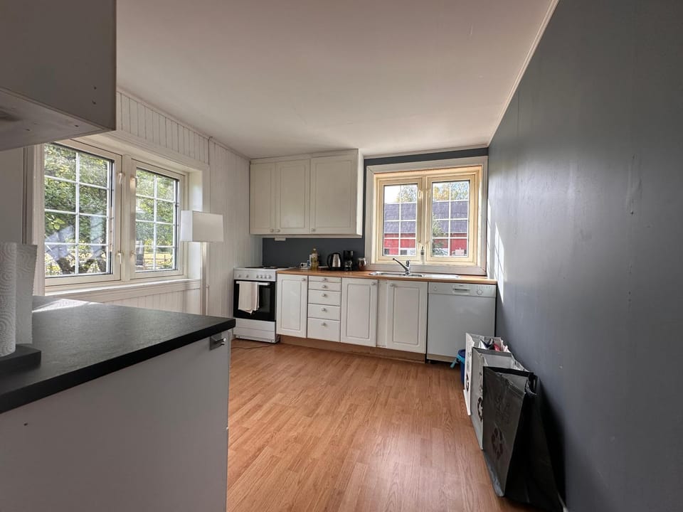 Kitchen or kitchenette, dishwasher, oven, pet friendly, stove