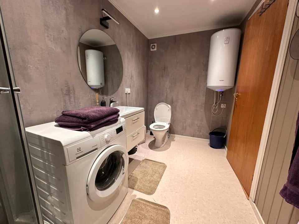 Toilet, Bathroom, towels, washing machine