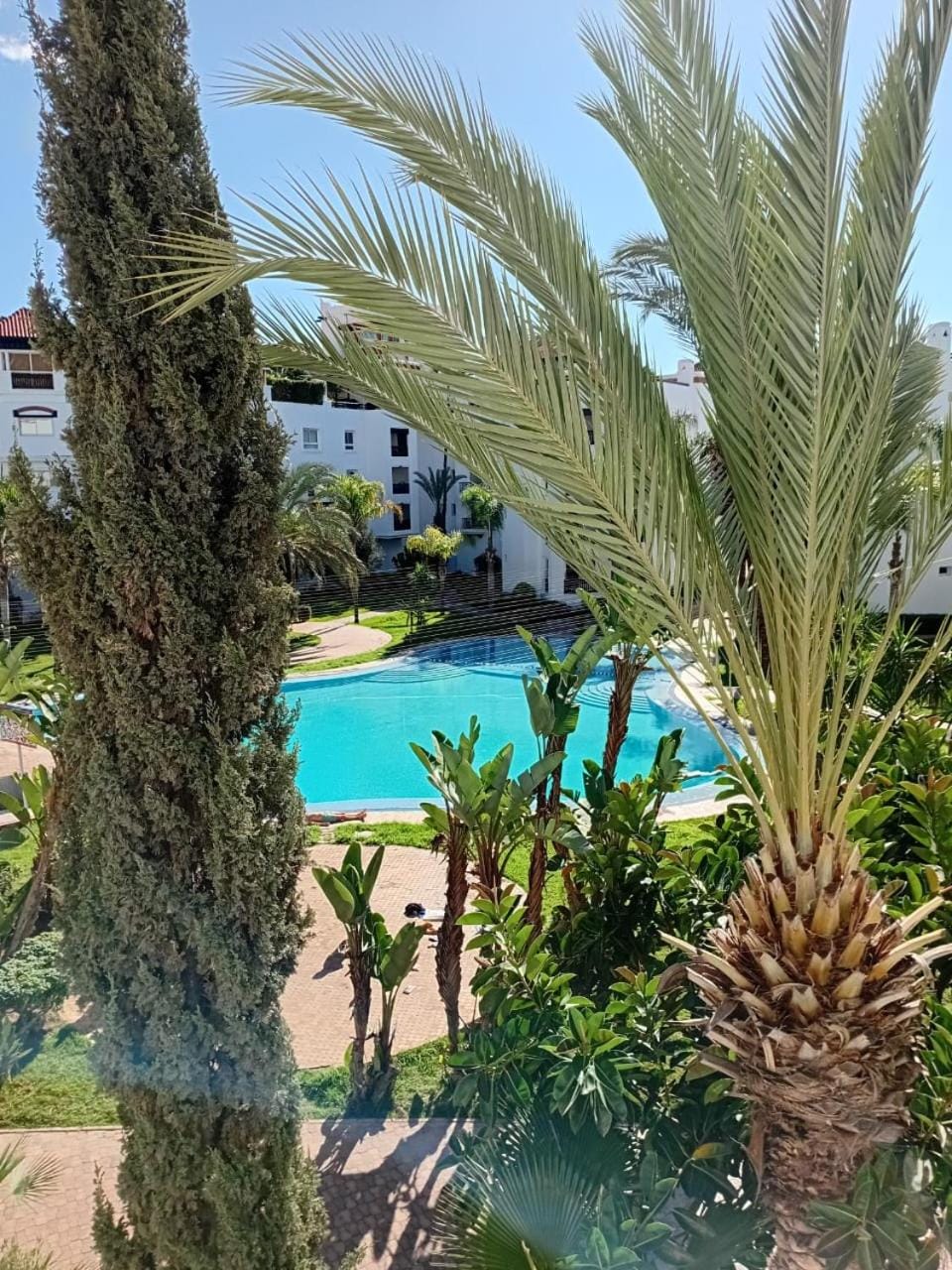 Day, Natural landscape, Garden view, Swimming pool