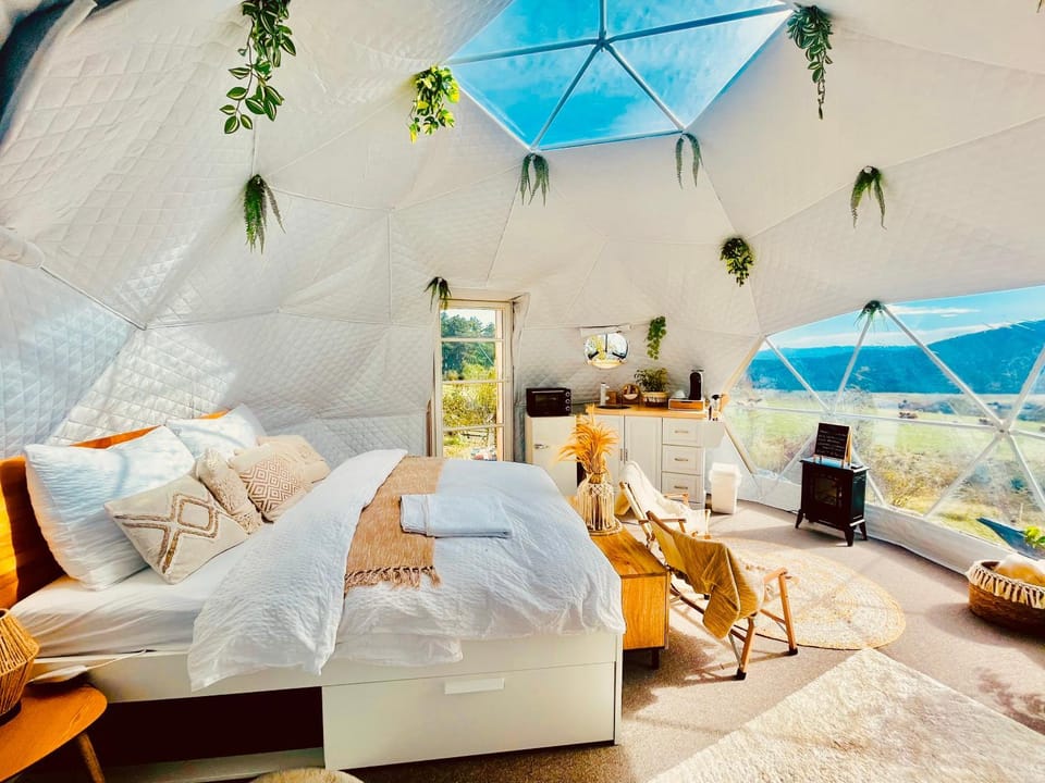 Bed, Living room, Photo of the whole room, Bedroom