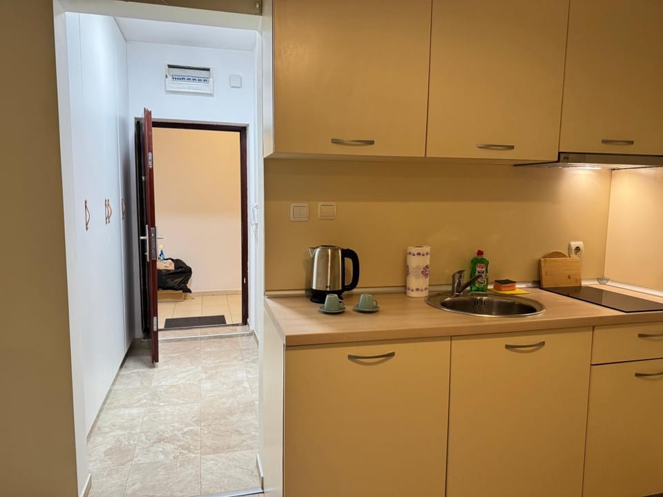 Coffee/tea facilities, Kitchen or kitchenette, minibar, stove, toaster