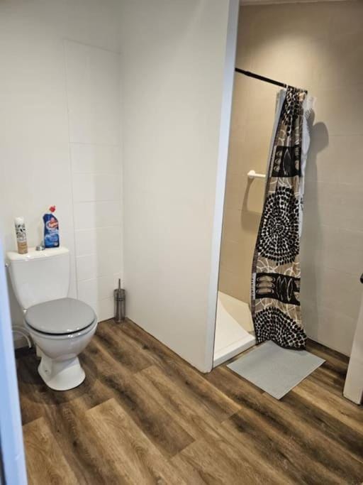 Shower, Toilet, Bathroom, towels