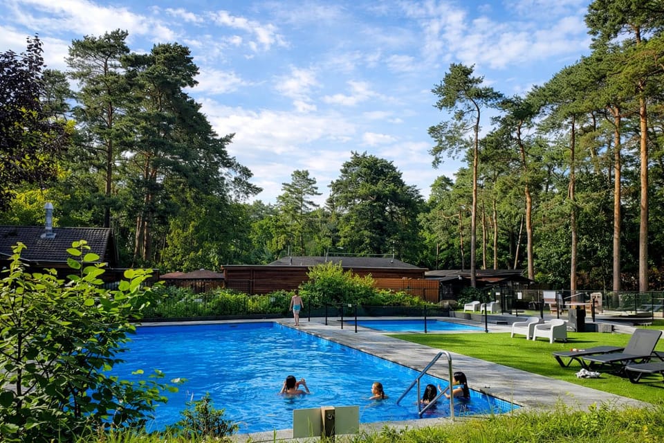 Natural landscape, Swimming pool, sunbed