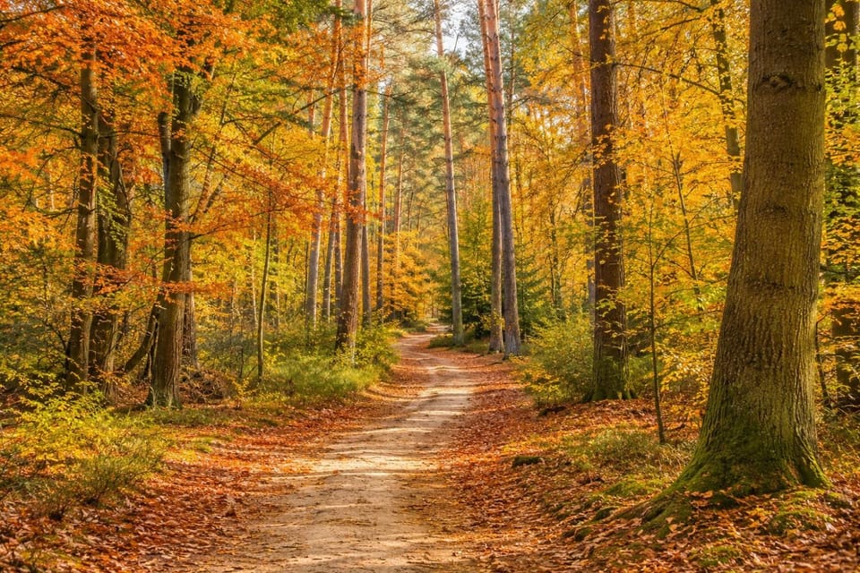 Natural landscape, Autumn