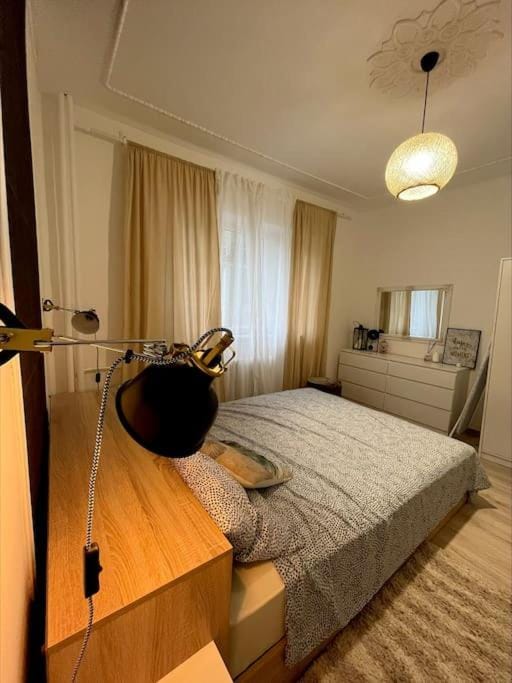 Modern apartment in central area Apartment in Timisoara