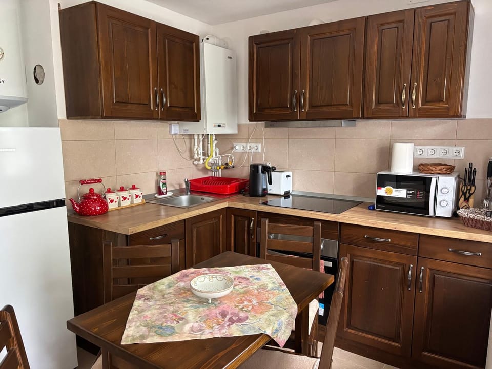 Borvíz Ház Apartment in Romania