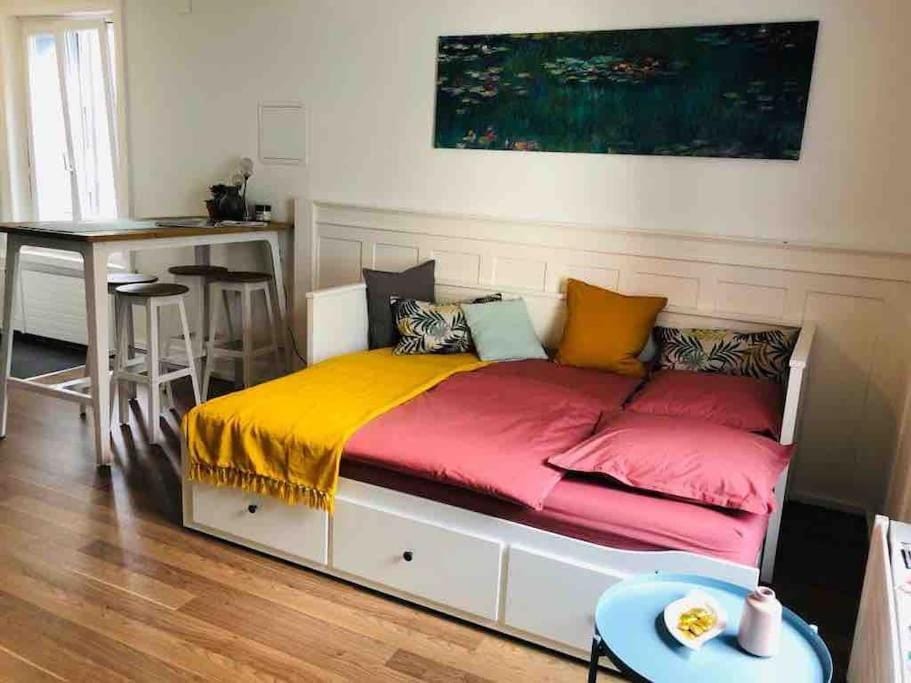 Klein aber Fein in Rorschach Apartment in St. Gallen, Switzerland