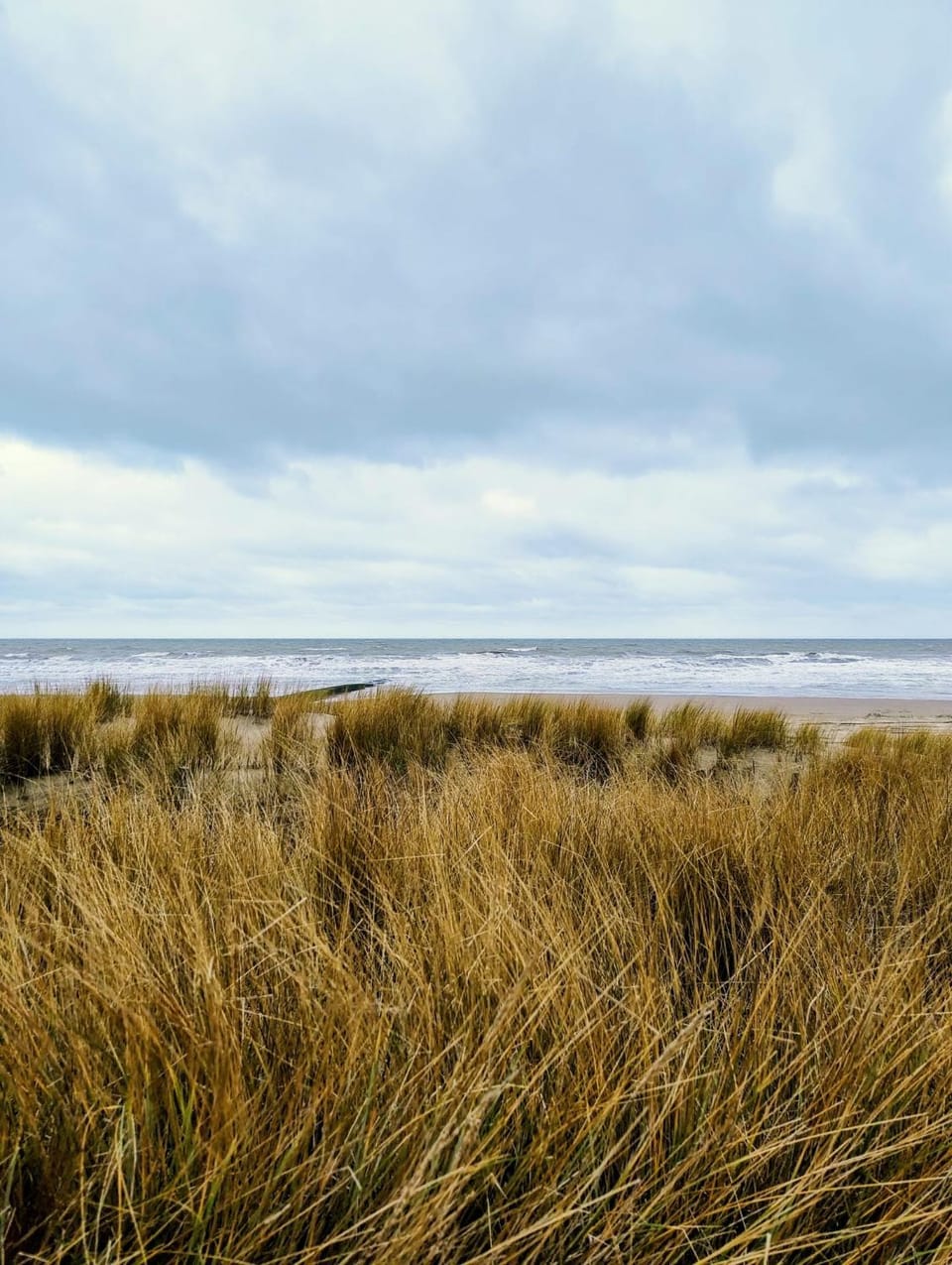 Natural landscape, Beach, Sea view