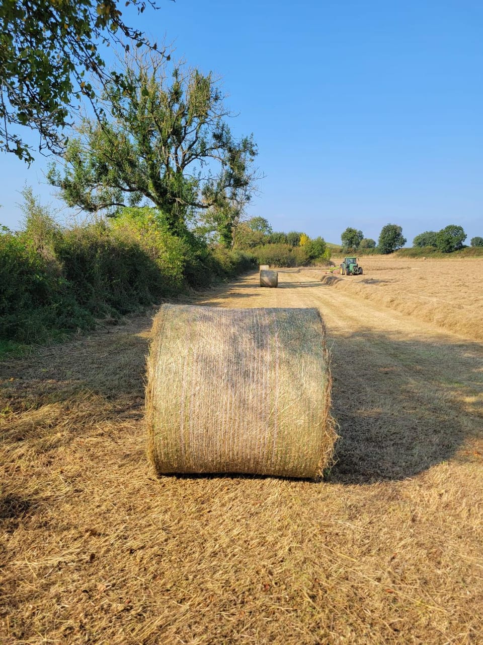 Natural landscape