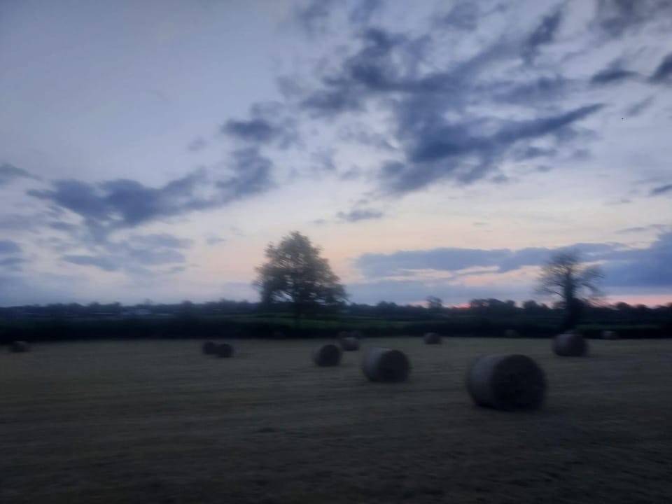 Natural landscape