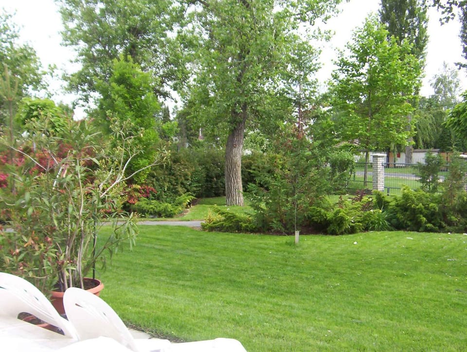 Summer, Garden