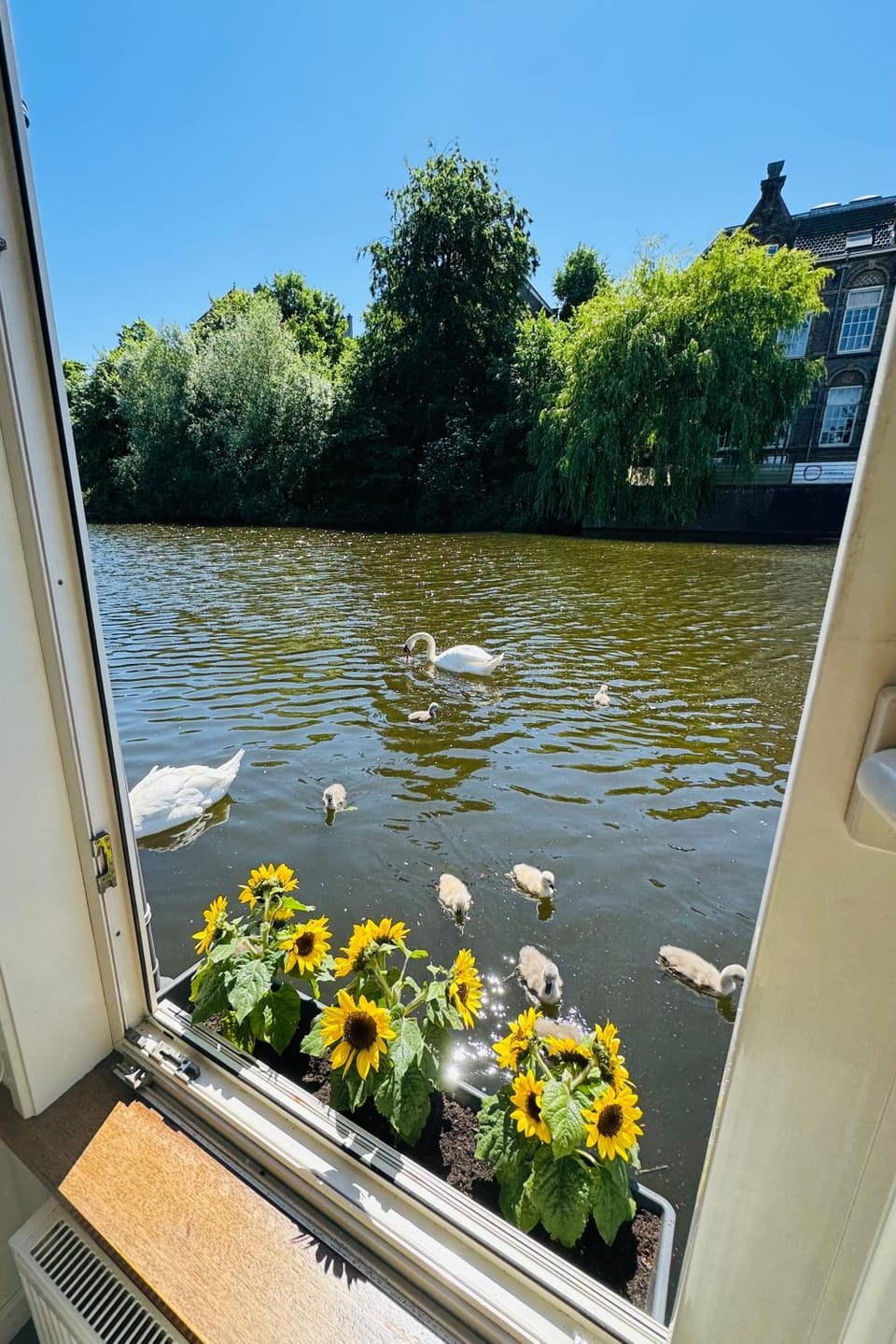 River view