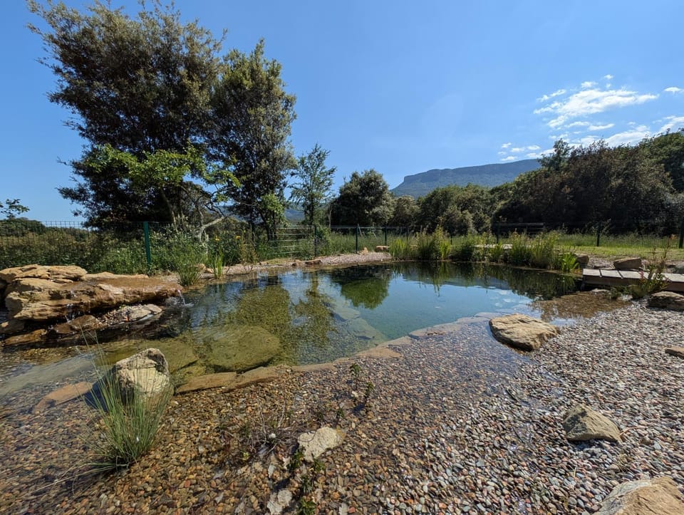 CAN QUEL - Escapada a la natura Chalet in Garrotxa