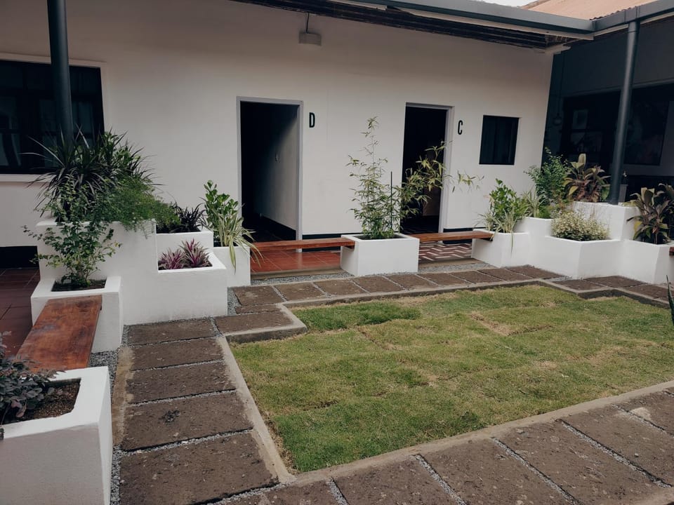 Patio, Day, Garden, Garden view