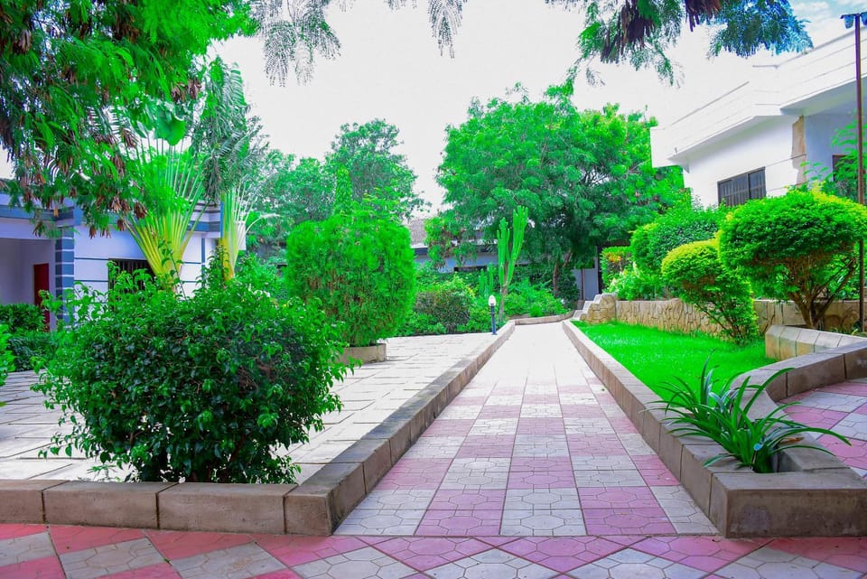 Day, Garden, Garden view