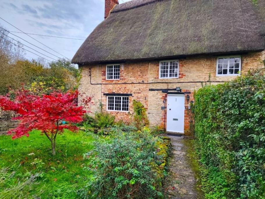 Property building, Spring, Day, Garden, Garden view