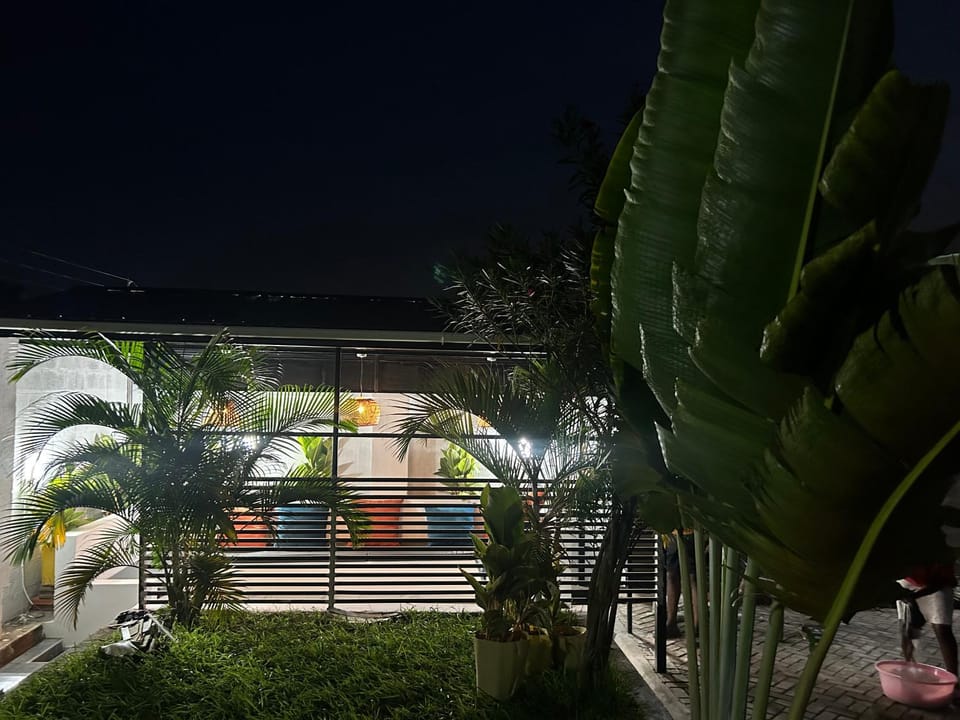 Night, Garden, Garden view