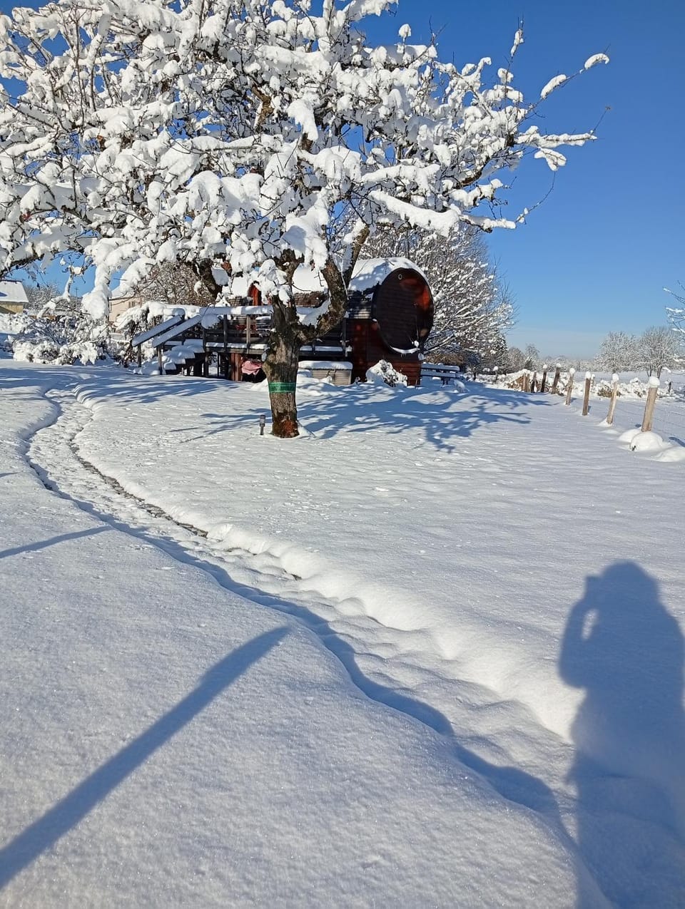 Roulotte viticole Luxury tent in Jura