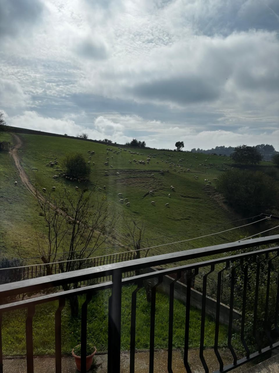 Natural landscape