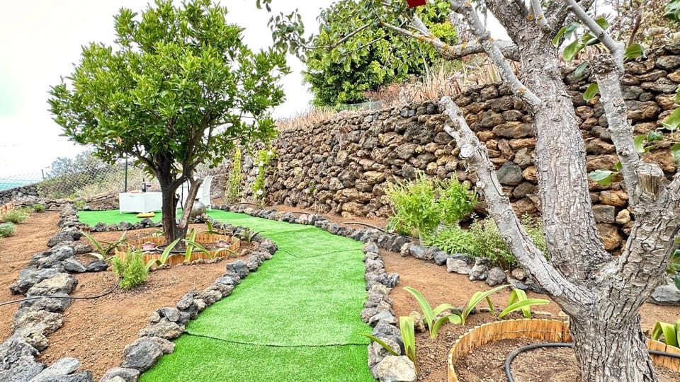 Spring, Day, Natural landscape, Garden, Garden view