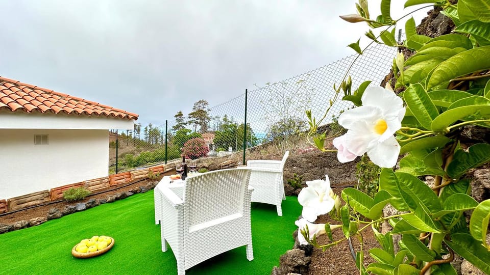 Patio, Spring, Day, Garden, Garden view