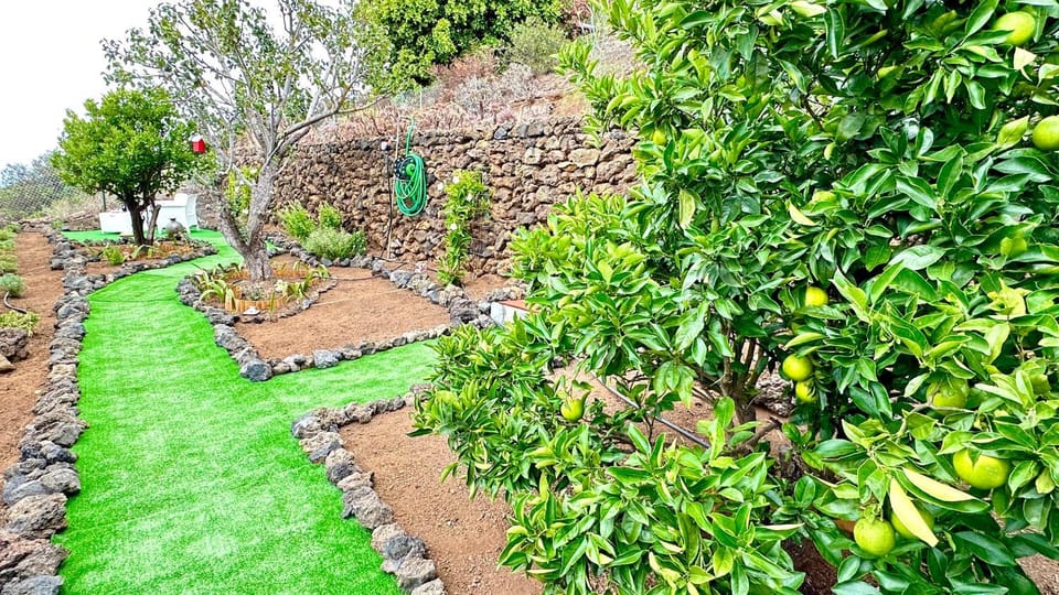 Spring, Day, Natural landscape, Garden, Garden view