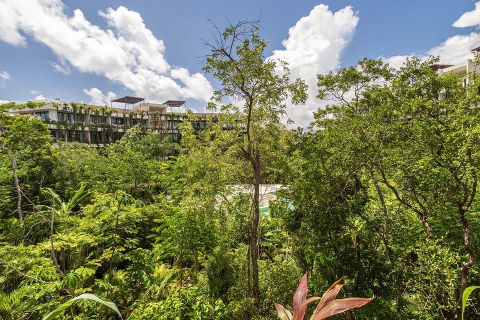 Natural landscape, Garden, Garden view