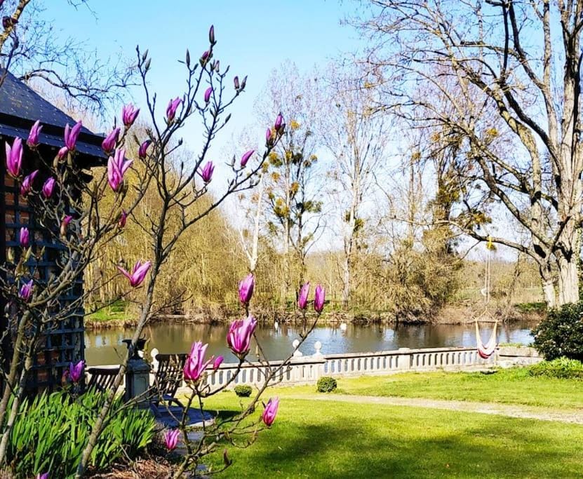 Natural landscape, River view