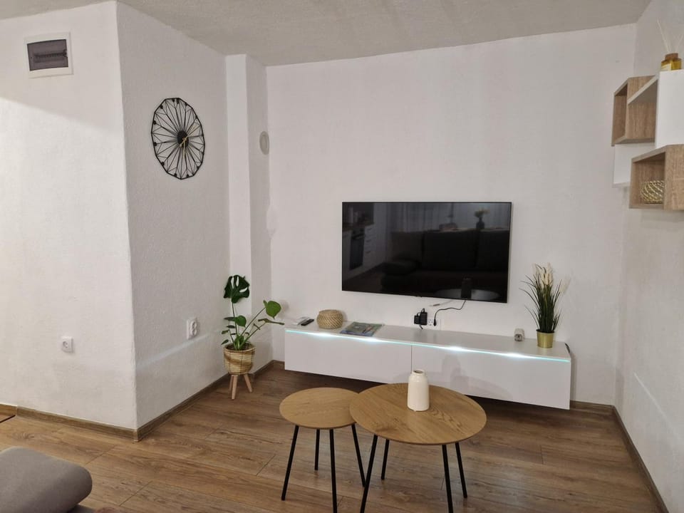 TV and multimedia