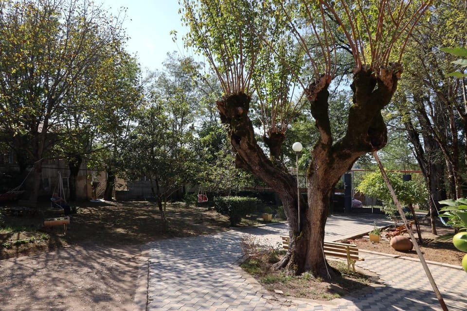 Natural landscape, Garden, Garden view