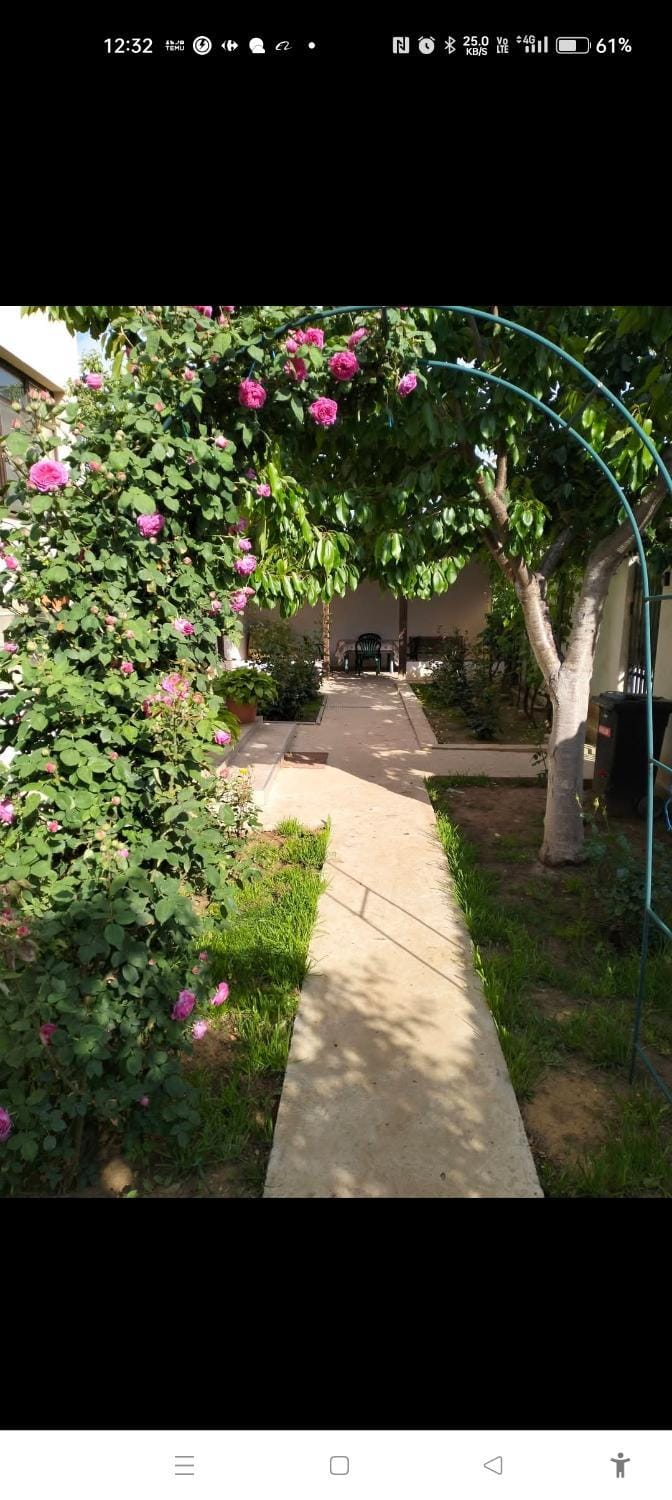 Vila Aurora Bed and Breakfast in Craiova