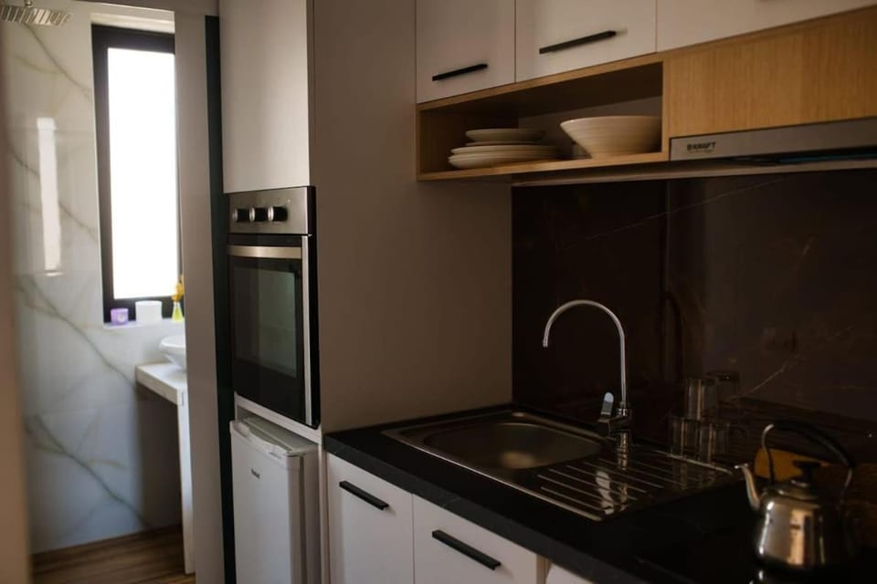 Kitchen or kitchenette, oven, stove