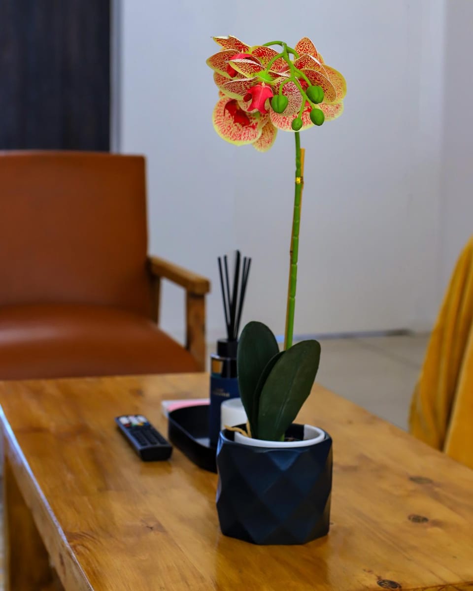 1g - Radiant Horizon of Parklands Apartment in Cape Town
