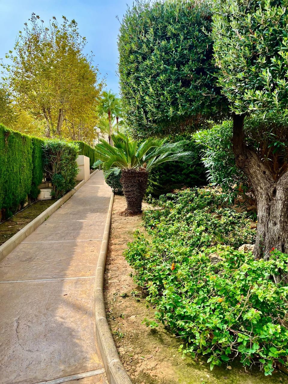 Garden view