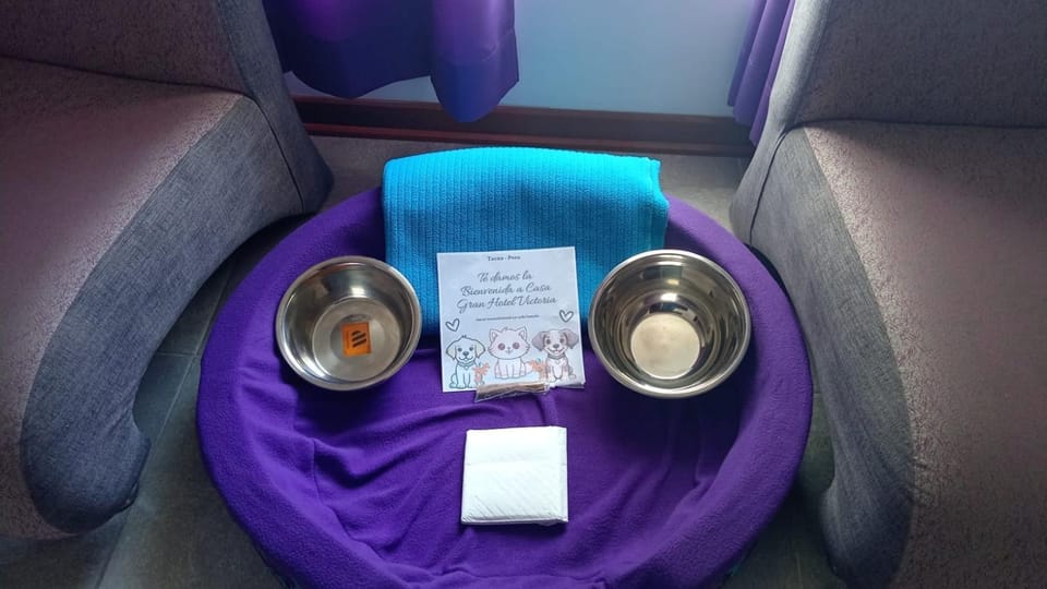 pet friendly, pet friendly