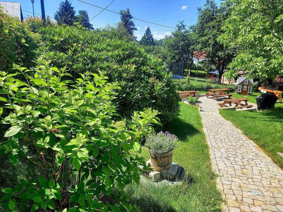 Spring, Day, Natural landscape, Garden, Garden view