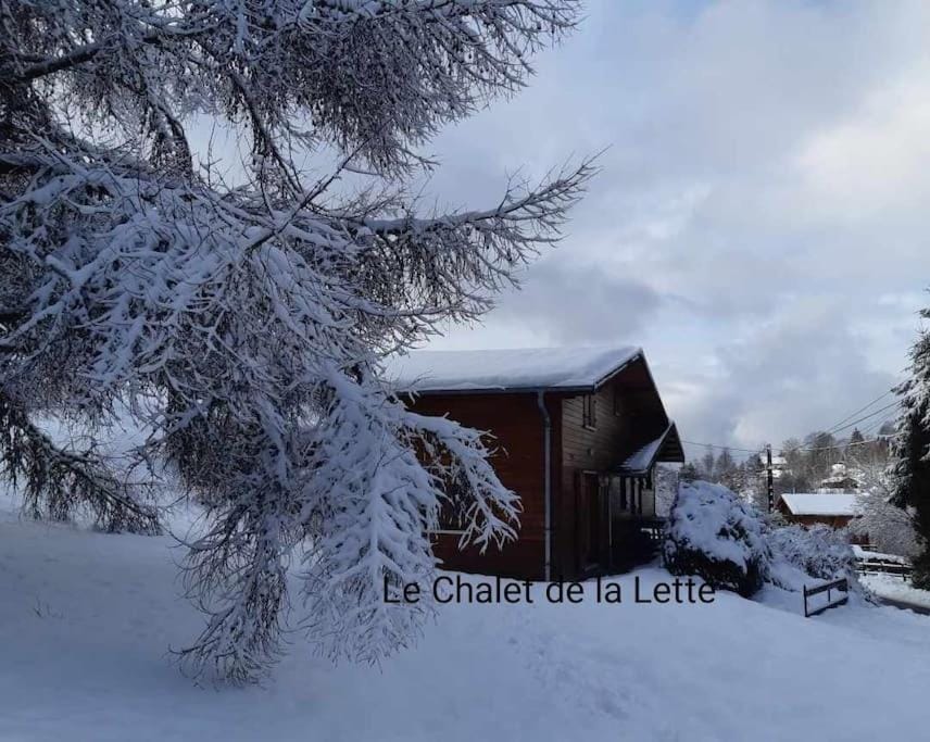 Chalet de la Lette House in Vosges