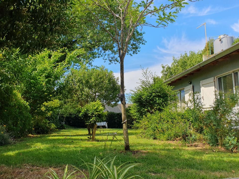 Spring, Day, Natural landscape, Garden, Garden view