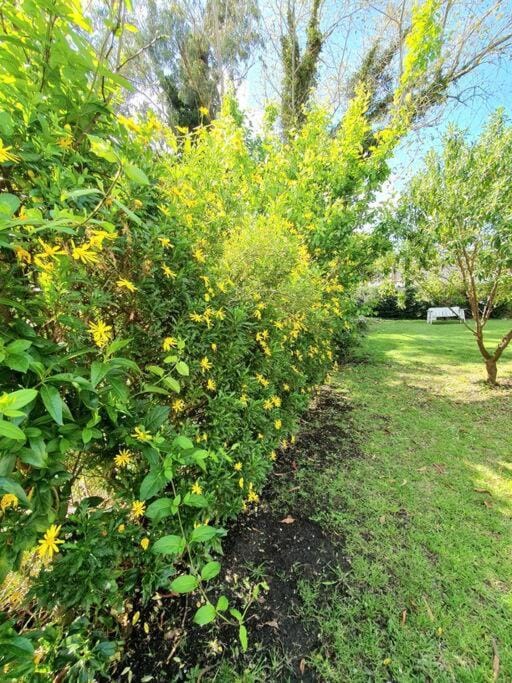 Spring, Day, Natural landscape, Garden, Garden view