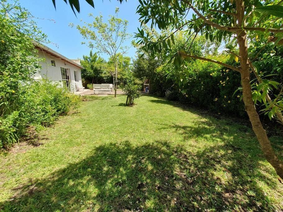 Day, Natural landscape, Garden, Garden view