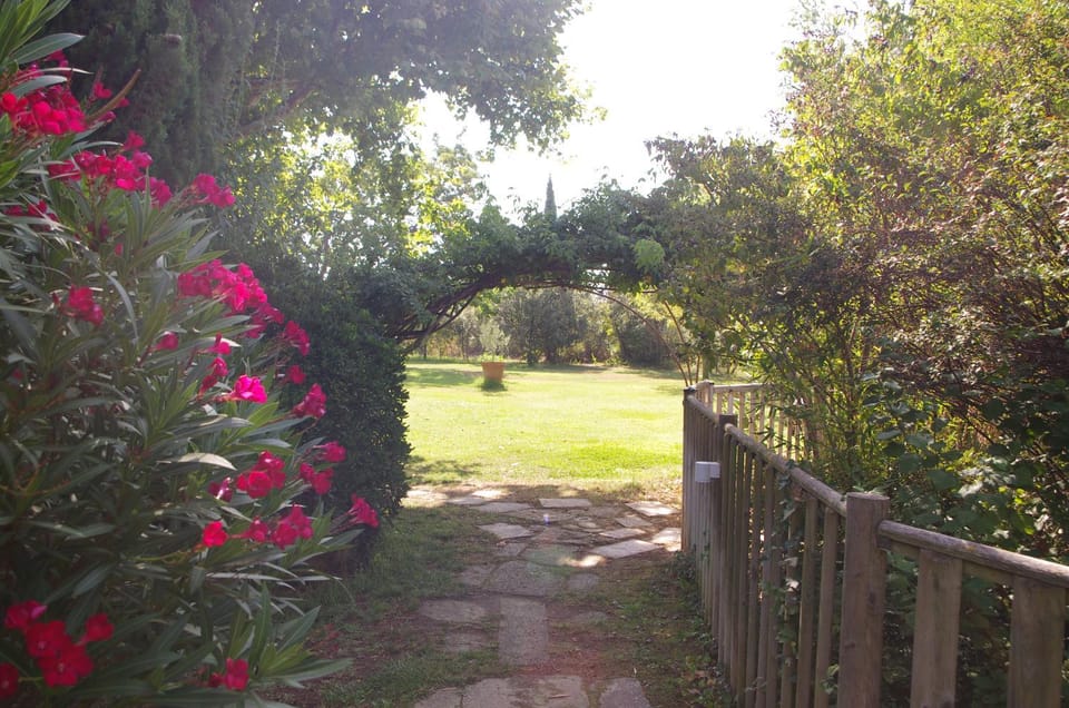 Day, Garden, View (from property/room), On site, Garden view