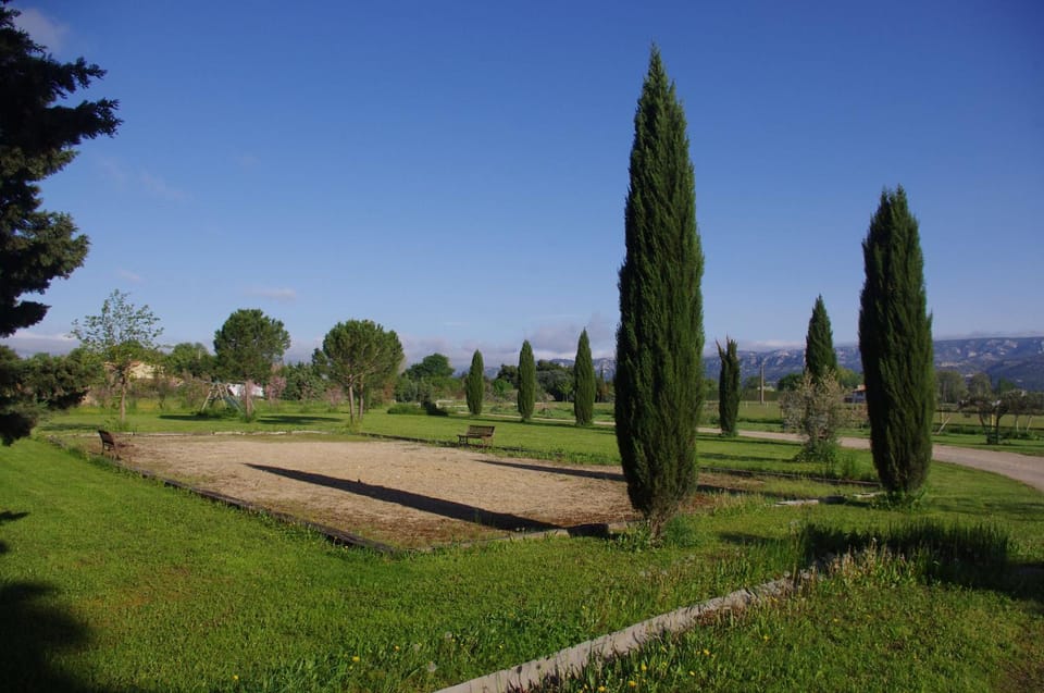 Day, Natural landscape, Garden, View (from property/room), On site, Garden view
