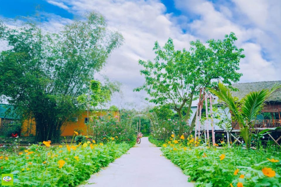 Property building, Natural landscape, Garden view