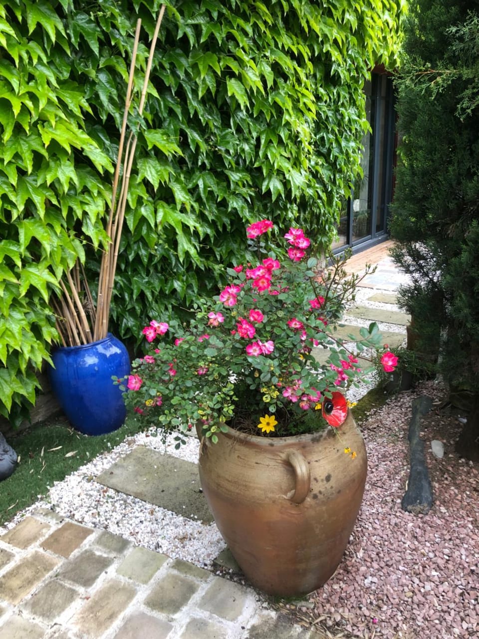 Garden view