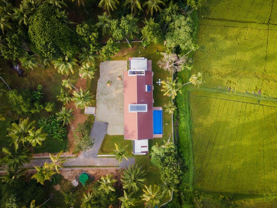 Property building, Natural landscape, Garden, Garden view, Pool view