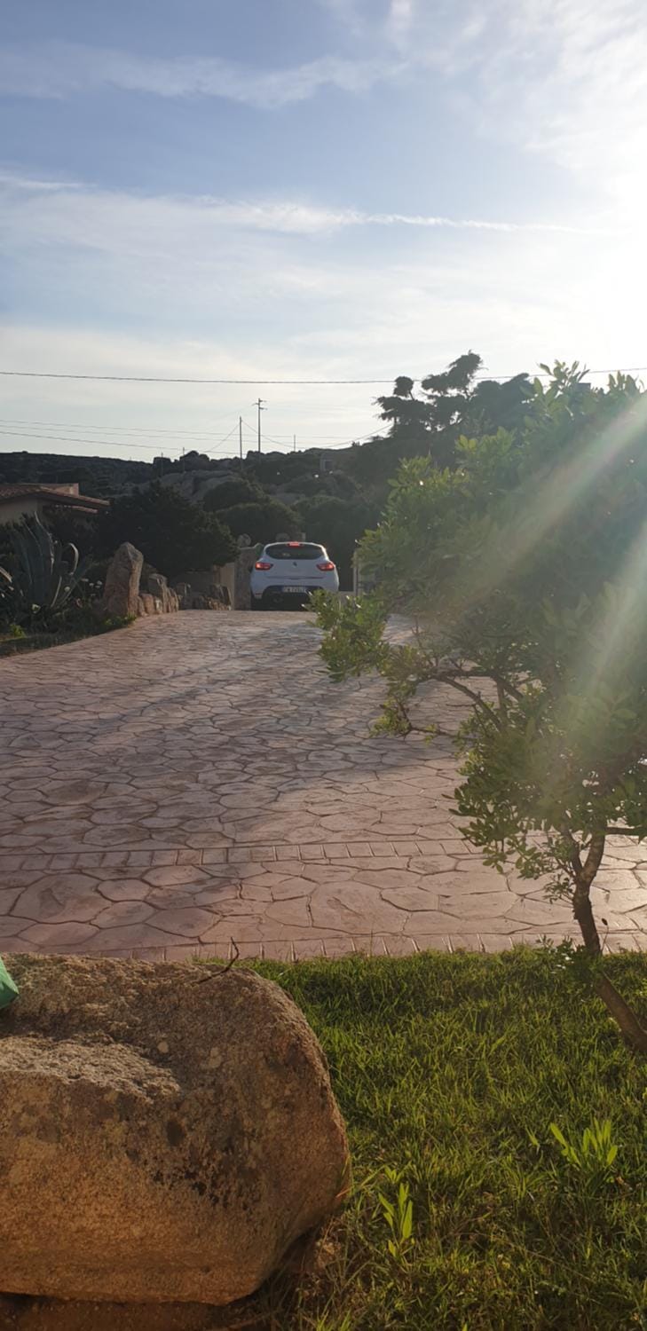 Garden, On site, Guests