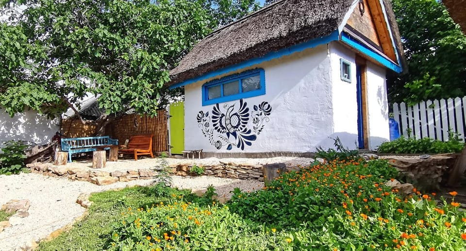 Traditional House in Danube Delta Villa in Constanța County