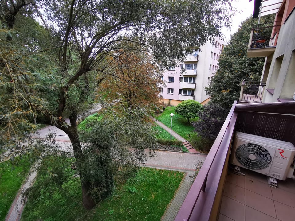 Neighbourhood, Natural landscape