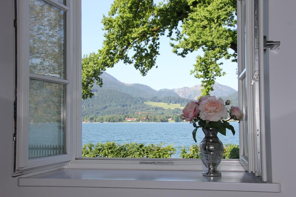 Lake view