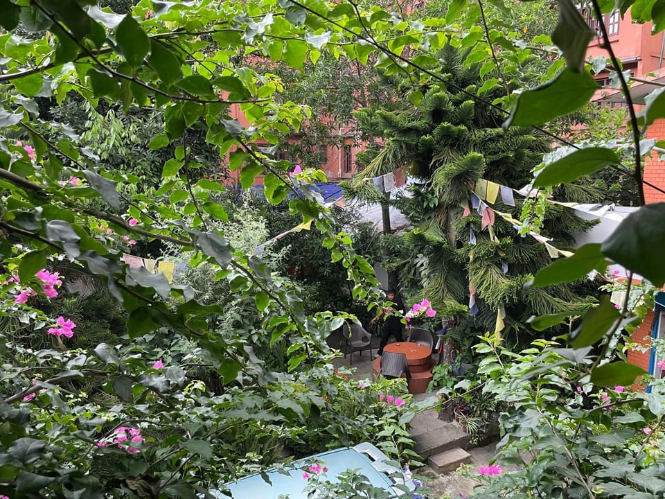 Garden view